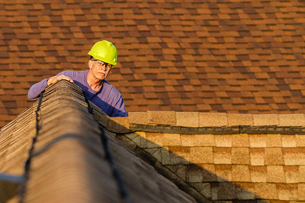 Best Roof Gutter Cleaning  in Stanhope, NJ